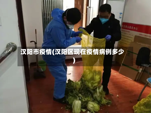汉阳市疫情(汉阳区现在疫情病例多少)-第2张图片