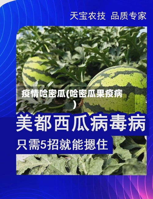 疫情哈密瓜(哈密瓜果疫病)-第2张图片