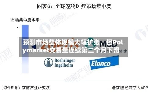 预测市场整体规模大幅扩张，但Polymarket交易量连续第二个月下滑-第2张图片