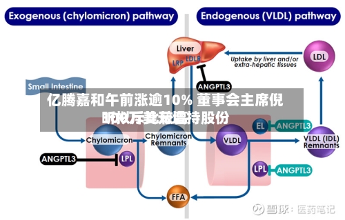 亿腾嘉和午前涨逾10% 董事会主席倪昕拟斥比较高100万美元增持股份-第2张图片